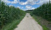 Randonnée Marche Wezembeek-Ophem - S-GR Groene Gordel: Tervuren - Kortenberg - Photo 12