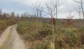 Trail Walking Fernelmont - Franc Waret 23 km - Photo 8