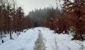 Randonnée Marche Waimes - entre botrange et bois de sourbrodt - Photo 5