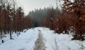 Randonnée Marche Waimes - entre botrange et bois de sourbrodt - Photo 5