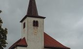 Tocht Te voet Mandelbachtal - Lochfeld-Tour - Photo 3