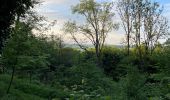 Tour Wandern Ibingen - Bois d’Halanzy et réserve du crassier - Photo 6