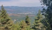 Tour Wandern Estoher - Estoher Chapelle St. Étienne  - Photo 2