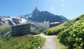 Trail Walking Chamonix-Mont-Blanc - Trajet Retour - Photo 13