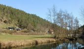 Percorso A piedi Waischenfeld - Waischenfeld Rundwanderweg Blauer Ring - Photo 2