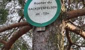 Tocht Stappen Wangenbourg-Engenthal - Le Hengst - Photo 10