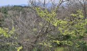 Excursión Senderismo Roquebrune-sur-Argens - Roquebrune - monastère de Notre Dame de pitié  - Photo 14