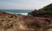 Trail Walking La Trinité - Presqu'île de la Caravelle 🌡️ - Photo 9