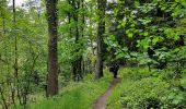 Tocht Stappen Neupré - Autour de Houte-Si-Plou - Photo 4