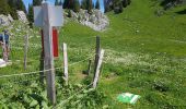 Tocht Stappen Fillière - ronceveau au col du freu 24 juin 19 - Photo 7