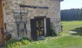 Tocht Stappen Vassieux-en-Vercors - col de proncel la chapelle - Photo 3