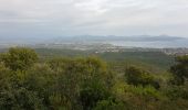 Randonnée Marche Roquebrune-sur-Argens - LES ISSAMBRES - LE VALLON DE LA GAILLARDE - Photo 10