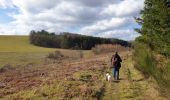 Tour Wandern Gedinne - Balade à Malvoisin - Gedinne - Photo 2