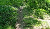 Percorso Marcia Vendôme - Randonnée dans le Bois de l'Oratoire à Vendôme  - Photo 3