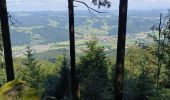 Randonnée Vélo électrique Winden im Elztal - chapelle hornleberh  - Photo 14