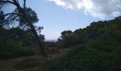 Trail Walking Llucmajor - Cala Pi S' Estanyol - Photo 10