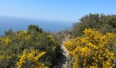 Randonnée Marche Six-Fours-les-Plages - Le sentier du littoral  - Photo 4