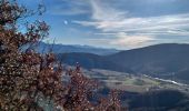 Tour Wandern Sisteron - SISTERON . LE BOIS DE LA BUCHE . ROCHER DU TURC . CRETE DU MOLLARD . BATISTON PAUL ARENE . O  L - Photo 3