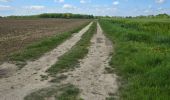 Percorso Marcia Lignières - Lignières - Autour de Rocheux - Photo 8