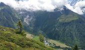 Tour Wandern Chamonix-Mont-Blanc - Aiguille de Posettes et Tête de Balme - Photo 11