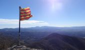 Randonnée A pied Vidrà - Vidrà-Puig de les Àligues - Photo 1