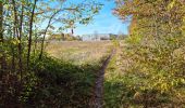 Randonnée Marche Vendôme - Forêt de Vendôme - Bois de l'Oratoire - Photo 8