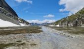 Tour Wandern Pralognan-la-Vanoise - Pralognan, Lac des Vaches par le téléphérique  - Photo 4