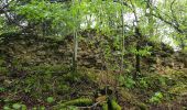 Trail On foot Haute-Ajoie - Tour de Faux d'Enson - Rocourt - Photo 2