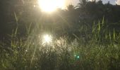 Trail Walking Sainte-Anne - Liard saint Robert - Photo 1