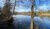 Tocht Stappen Overijse - Tour Genval Rixensart 4/2/21 - Photo 7