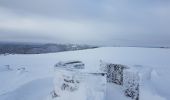 Trail Walking Lepuix - Rando raquettes Ballon d'Alsace depuis Saut de la Truite  - Photo 7