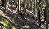 Tour Wandern Xonrupt-Longemer - Riche de Belle-vue - Photo 3