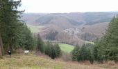 Tour Wandern La Roche-en-Ardenne - sacrée  borzee m'abonne berosmenil - Photo 1