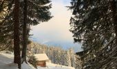 Percorso Racchette da neve Saint-Jean-de-Sixt - Le panorama du Danay (14) - Photo 6