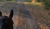 Trail Horseback riding Fronton - Trec 2 à valider - Photo 12