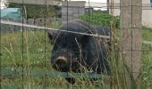 Trail Walking Vauchassis - Bois de maître Jacques - Photo 4