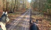 Tocht Paardrijden Habay - Forêt de Rulles - Photo 3