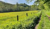 Tocht Noords wandelen Saint-Léger - Marche dans l'après-midi - Photo 10