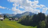 Percorso Mountainbike Le Grand-Bornand - découverte du Chinaillon II - Photo 1