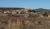 Randonnée A pied Fontès - Fontès - Vignes et Volcans - Le Céressou - Photo 8