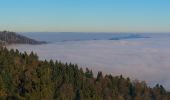 Percorso A piedi Horgen - Schnabellücke - Langnau Gattikon - Photo 9