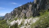 Tour Wandern Saint-Pierre-d'Entremont - Rando ANF - Le Petit Som (1772m) en boucle par le Col de Léchaud et le Col de Bovinant - Photo 2