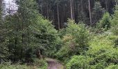 Trail Walking Aywaille - dieupart . embleve . thier bosset . kin . henoumont . vieux jardin . dieupart  - Photo 16
