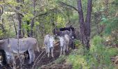 Percorso Marcia Eygluy-Escoulin - taillefer par escoulin - Photo 3