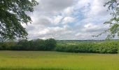 Trail Walking Theux - lareid . vertbuisson . haut marais . fraineux . la reid  - Photo 19