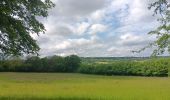 Excursión Senderismo Theux - lareid . vertbuisson . haut marais . fraineux . la reid  - Photo 19