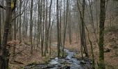 Tour Wandern Monschau - A la découverte de Rohren 🥾 - Photo 9