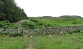 Tocht Te voet Eden - Aira Force and Gowbarrow Trail - Photo 5