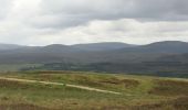 Trail On foot Unknown - Curlew Trail - Photo 1