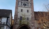 Percorso Marcia Saint-Hippolyte - St Hippolyte - Bergheim - château Reichenberg - Photo 9